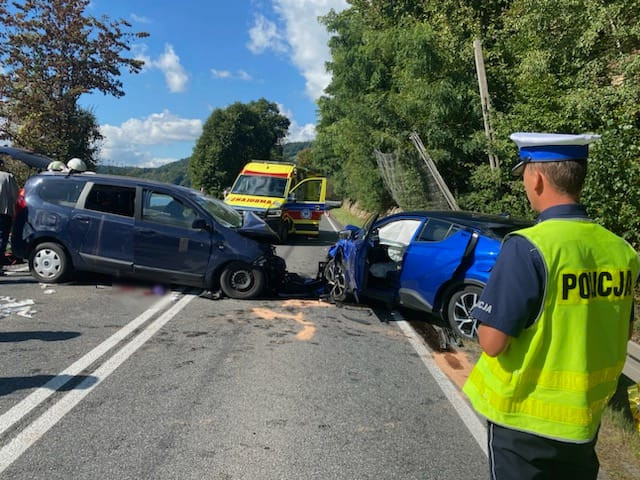 11 osób poszkodowanych w wypadku drogowym w Będziszynie.