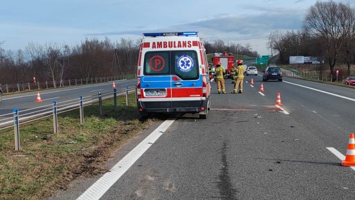 Kolizja karetki pogotowia z … łanią.