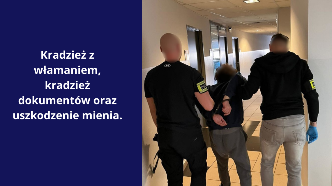 Dwóch obywateli Gruzji odpowie za szereg przestępstw.