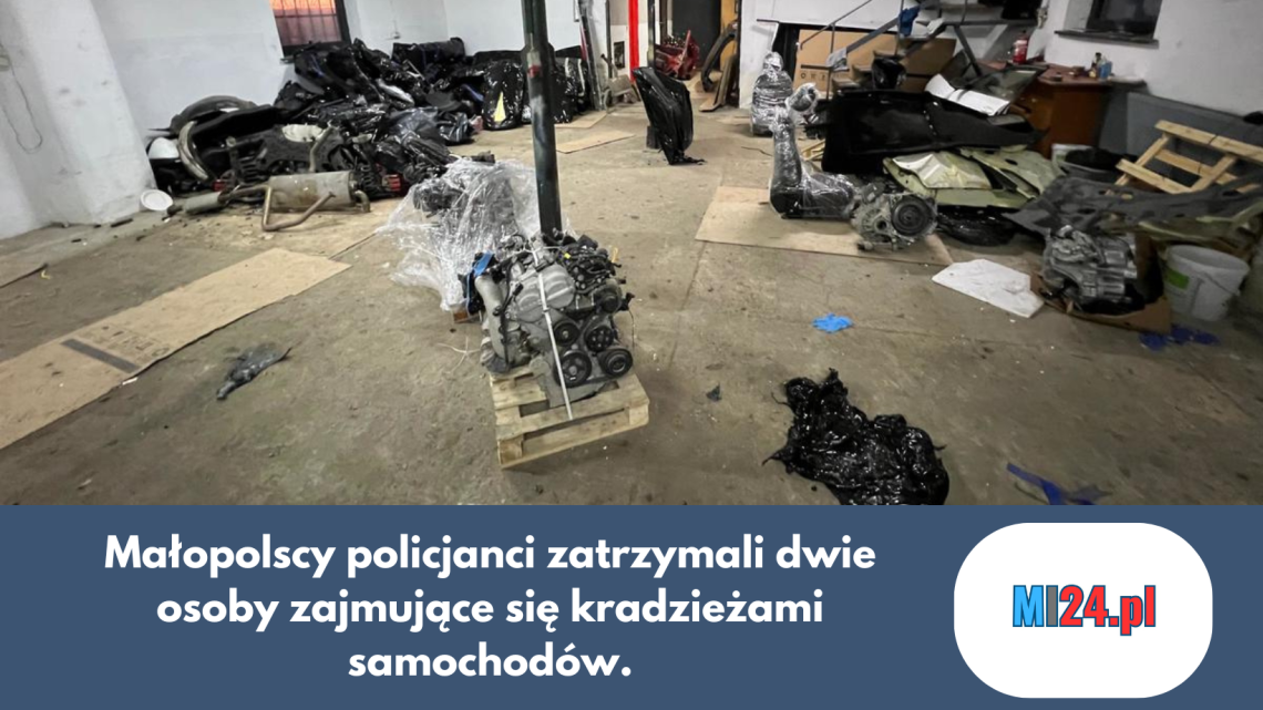 19 samochodów odzyskanych. Policjanci zatrzymali złodziei.