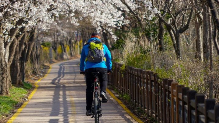 Ponad 20 mln zł na budowę ścieżek rowerowych w Małopolsce Zachodniej.