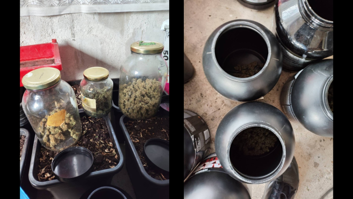Policja zlikwidowała nielegalną plantację marihuany w powiecie krakowskim.