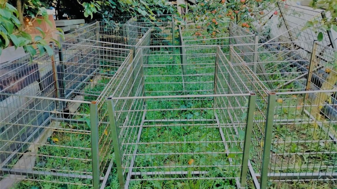 Nietypowy klient: zamiast produktów zabierał sklepowe wózki i stoły.