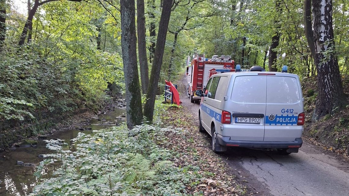 Bulowice: śmierć 66-latka wyjaśniają służby.