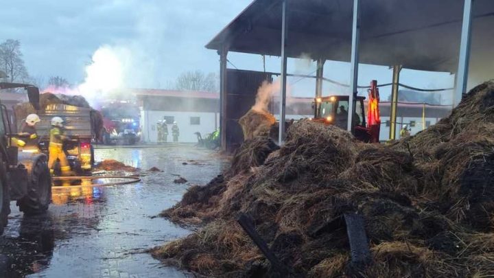 Pożar w stadninie koni pod Krakowem – straty sięgają 2,5 miliona złotych. Dwóch 14-latków może odpowiadać za podpalenie.