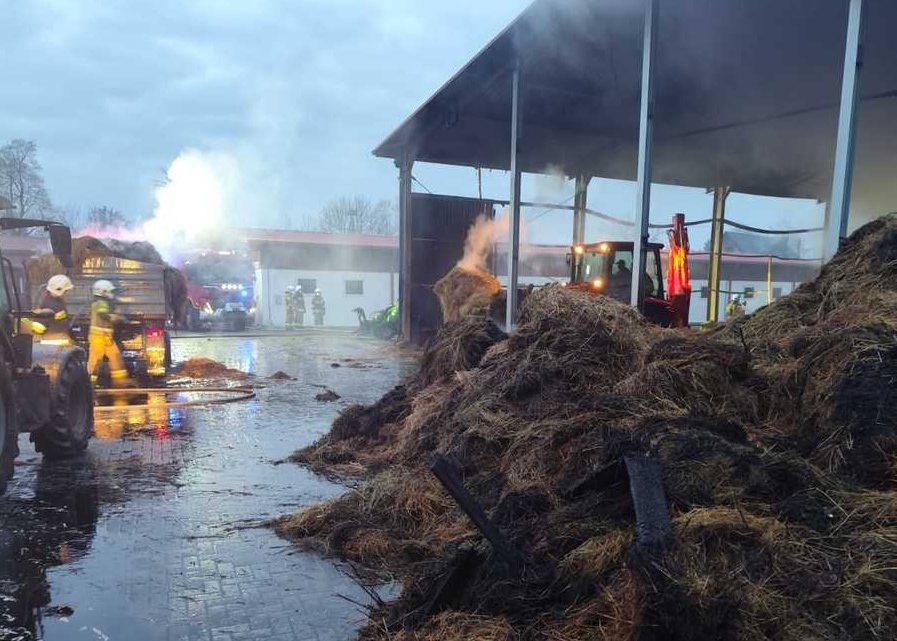 Pożar w stadninie koni pod Krakowem – straty sięgają 2,5 miliona złotych. Dwóch 14-latków może odpowiadać za podpalenie.