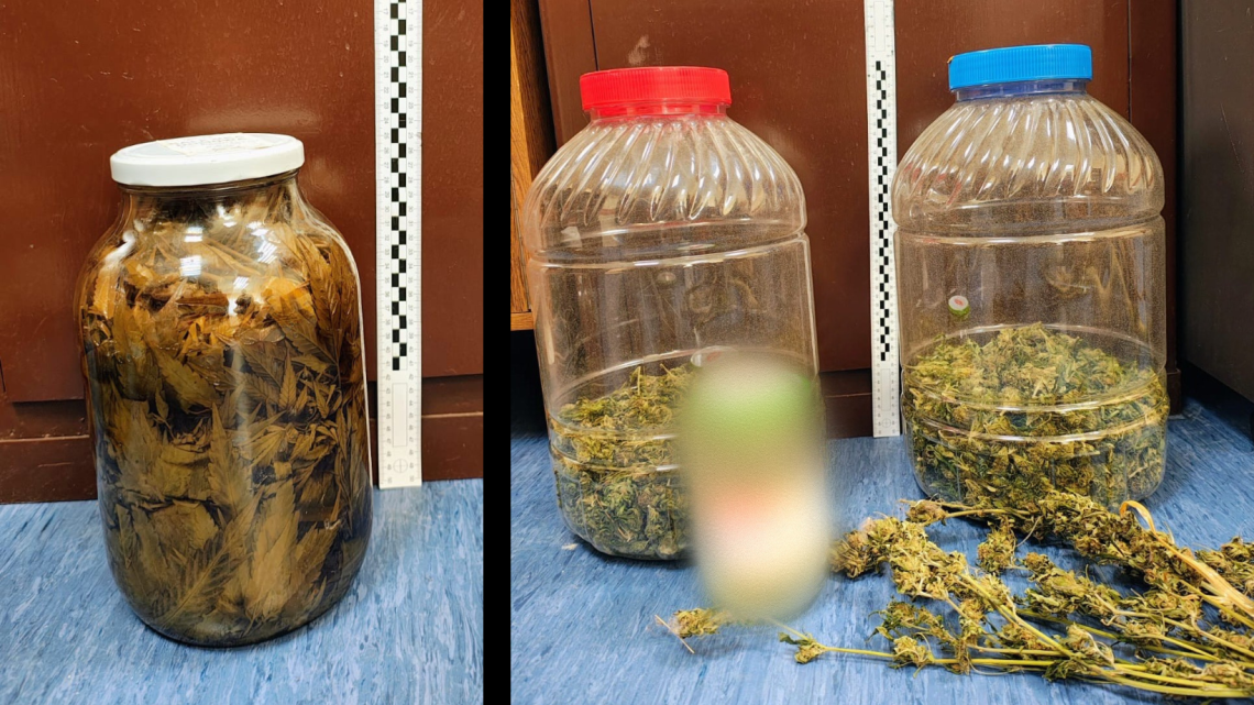 Narkotykowa akcja policji z Rabki-Zdroju. 47-latek z gminy Pacanów zatrzymany z dużą ilością marihuany.