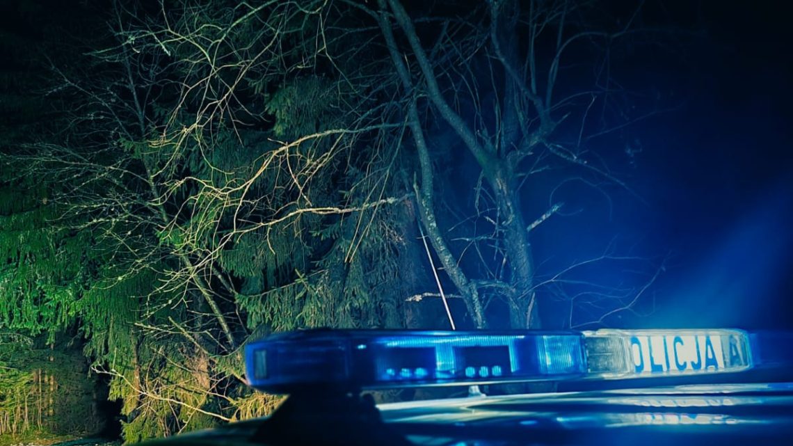 Nocna interwencja w Kościelisku. Turystka pozostawiona na przystanku w środku lasu!