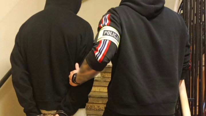 Kraków. Zatrzymanie 21-latka podejrzanego o okaleczenie królika w centrum miasta.