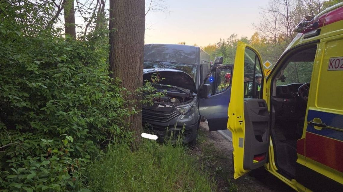 Samochód dostawczy uderzył w drzewo na DW768. Droga całkowicie zablokowana!