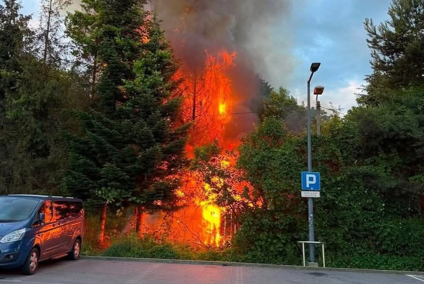 Pożar na terenie ogródków działkowych w Wieliczce. Trwa akcja strażaków.