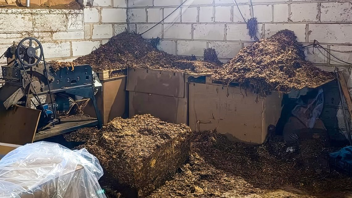 Nielegalna krajalnia tytoniu ujawniona przez Straż Graniczną i CBŚP. Zabezpieczono ponad 7 ton tytoniu.