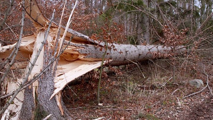 5 osób poniosło śmierć w wyniku gwałtownych zjawisk atmosferycznych.