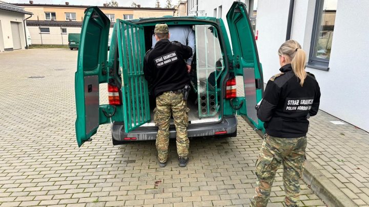Gruzin dopuścił się szeregu przestępstw na terenie Polski. Zostanie deportowany.