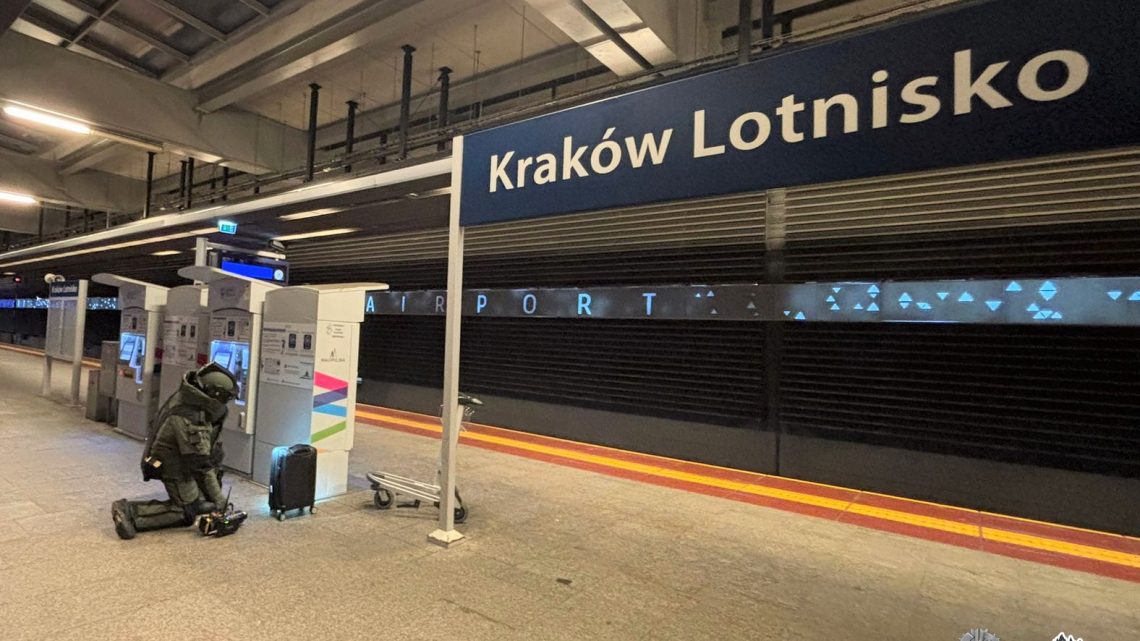 Wspólna akcja Straży Granicznej i służb na lotnisku w Balicach.