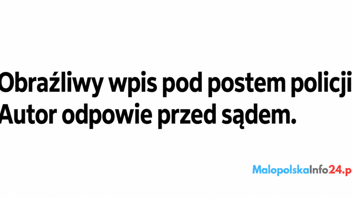 Obraźliwy wpis pod postem policji. Autor odpowie przed sądem.