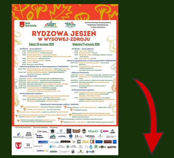 Rydzowa Jesień po raz drugi w Wysowej-Zdroju. Dwa dni muzyki, natury i beskidzkich inspiracji.