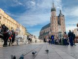 Łukasz Gibała otwiera „szafy” w urzędzie? Duże zmiany w krakowskim magistracie.