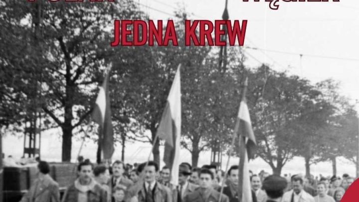 „Polak – Węgier, jedna krew”. Rusza kolejna edycja akcji krwiodawstwa,