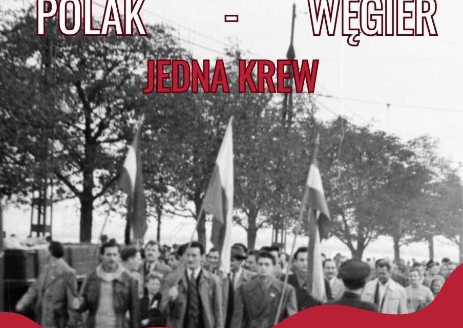 „Polak – Węgier, jedna krew”. Rusza kolejna edycja akcji krwiodawstwa,